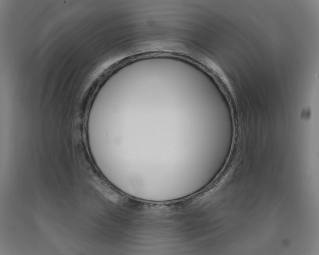 X0000093261019200709261614