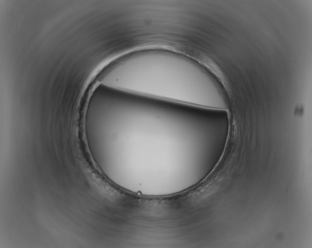 X0000093261020200709261614