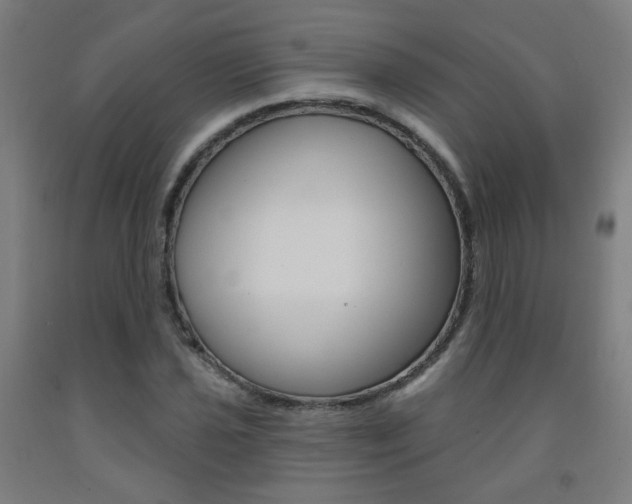 X0000093261021200709261614