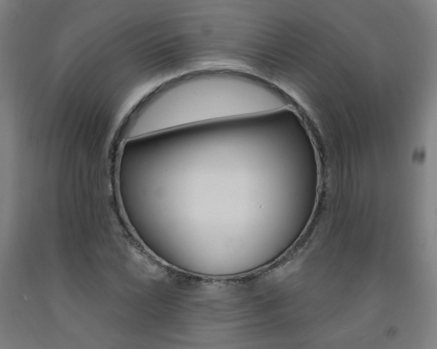 X0000093261022200709261614