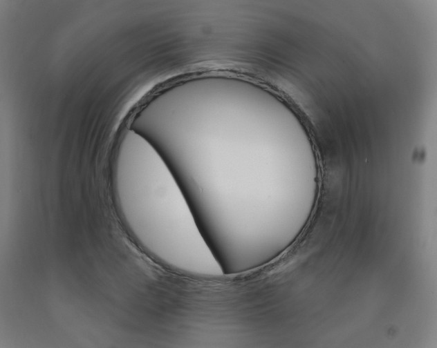 X0000093261023200709261614
