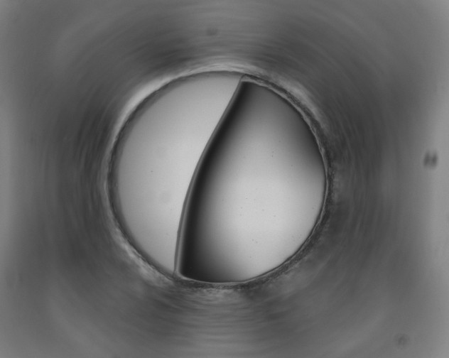 X0000093261024200709261614