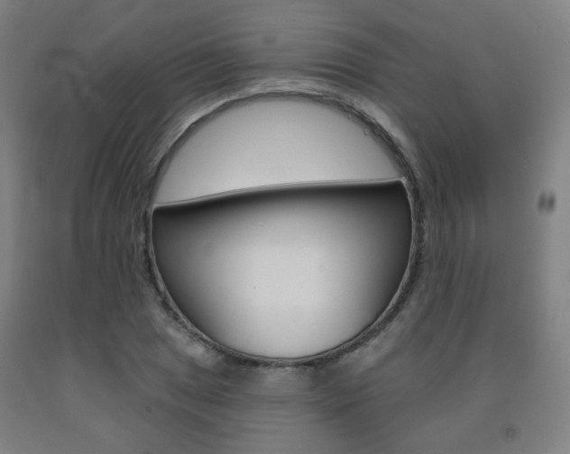 X0000093261025200709261614