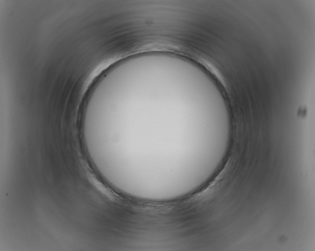 X0000093261026200709261614
