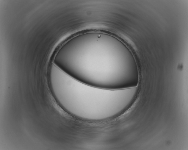 X0000093261029200709261614