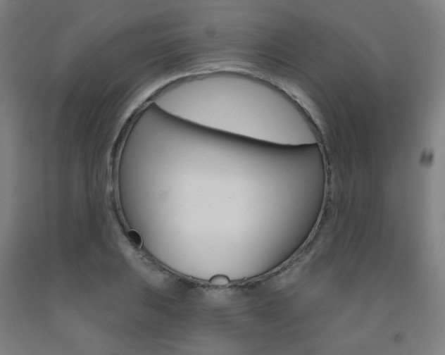X0000093261031200709261614