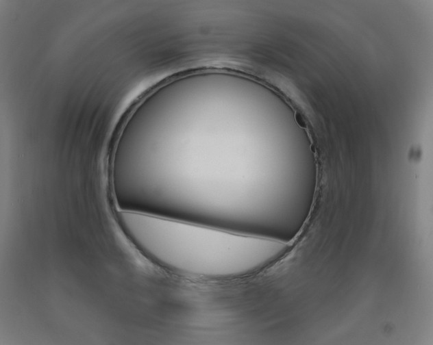 X0000093261032200709261614