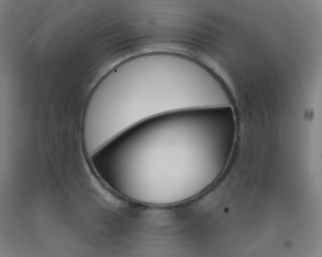X0000093261033200709261614