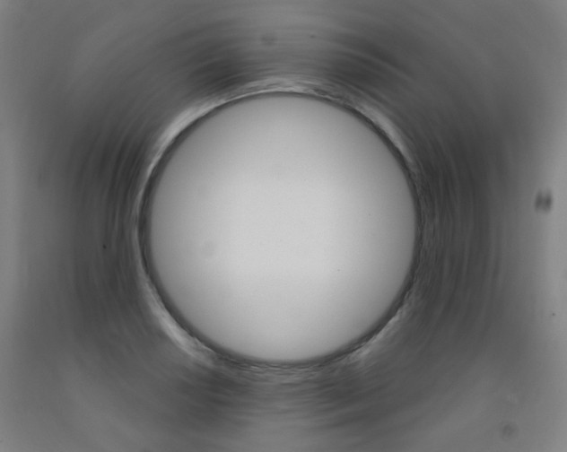 X0000093261034200709261614