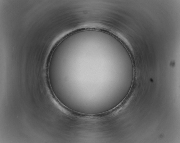 X0000093261037200709261614