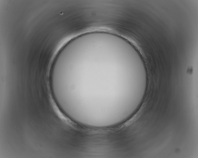 X0000093261038200709261614