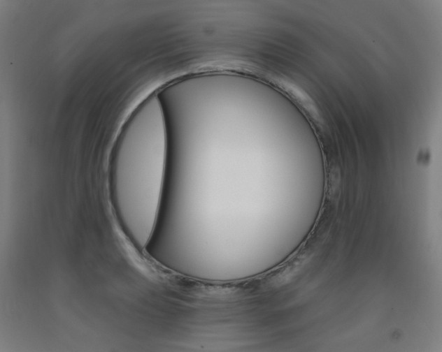 X0000093261039200709261614