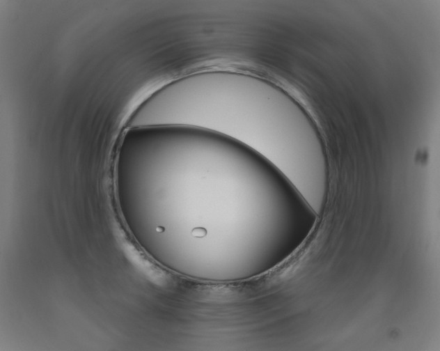 X0000093261042200709261614