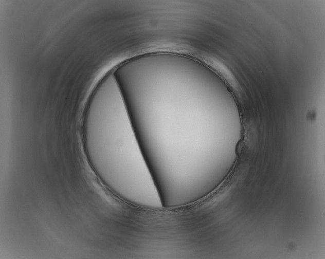 X0000093261043200709261614