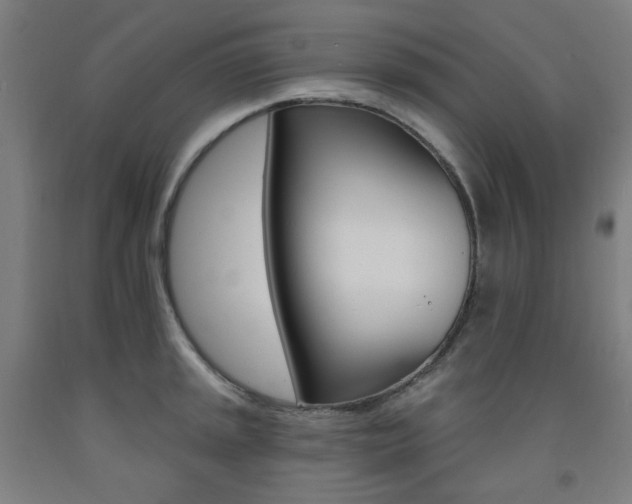 X0000093261045200709261614