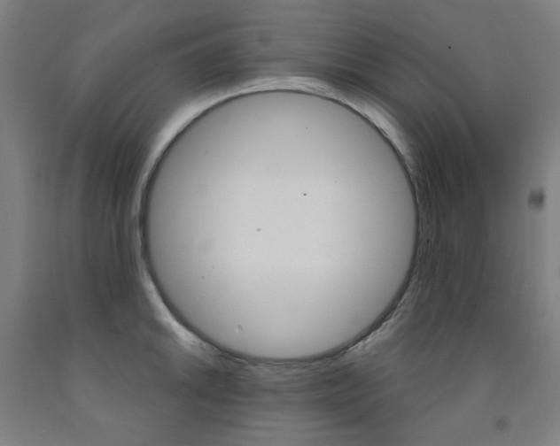 X0000093261046200709261614