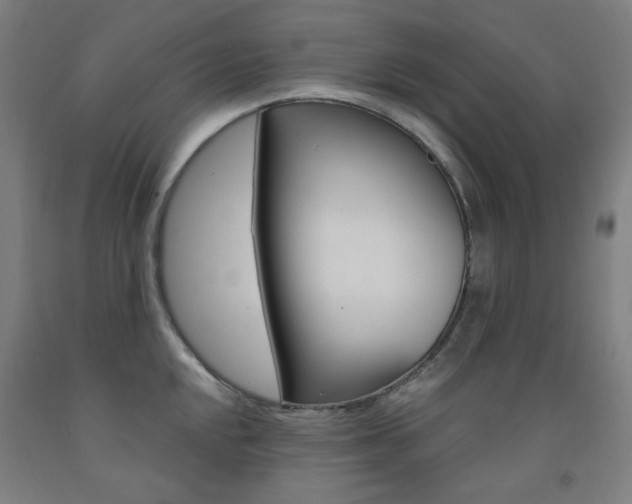 X0000093261048200709261614