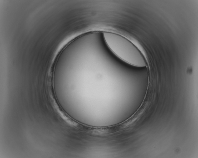 X0000093261053200709261614