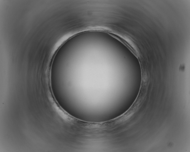 X0000093261054200709261614