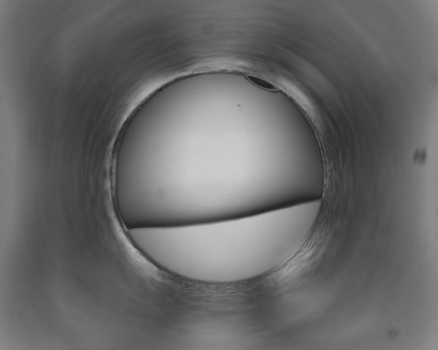 X0000093261055200709261614