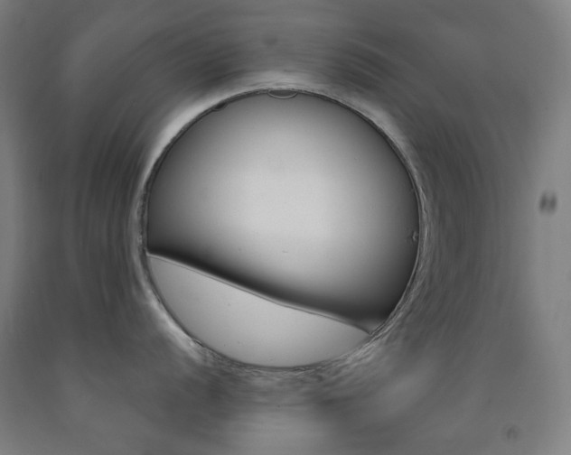 X0000093261056200709261614