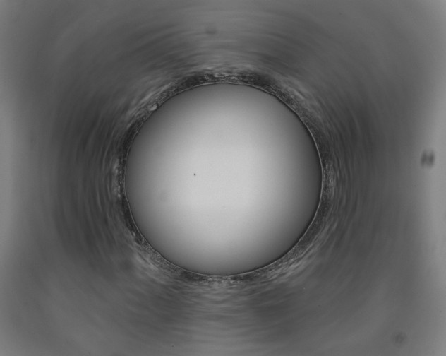 X0000093261060200709261613
