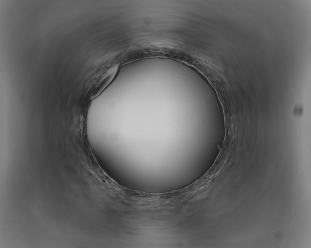 X0000093261061200709261613