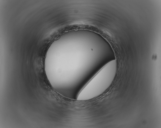X0000093261062200709261613