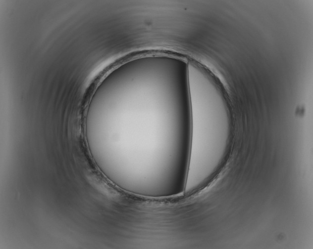 X0000093261069200709261613