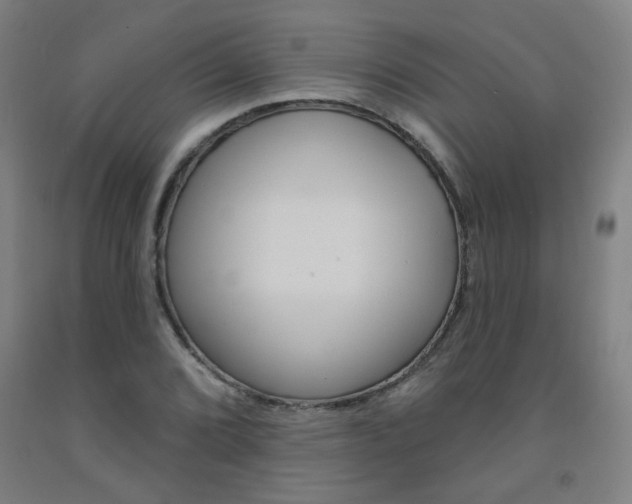 X0000093261072200709261613