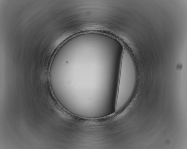 X0000093261073200709261613