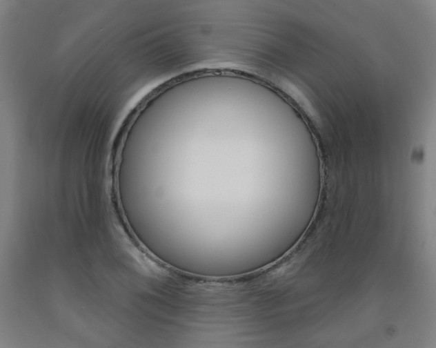 X0000093261076200709261613