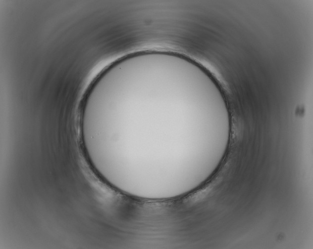 X0000093261078200709261613