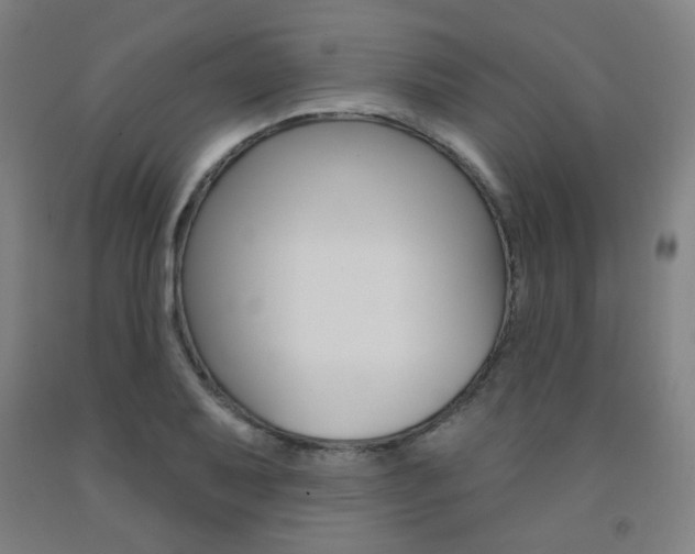 X0000093261079200709261613