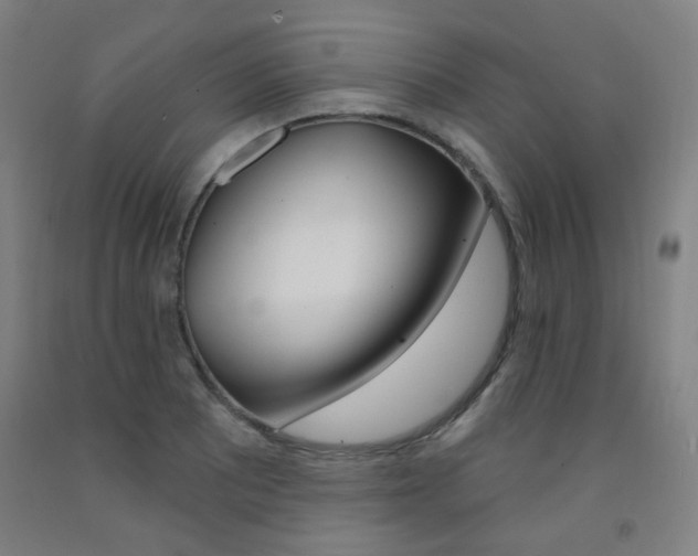 X0000093261081200709261613