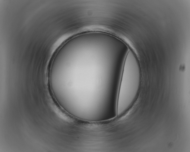 X0000093261082200709261613