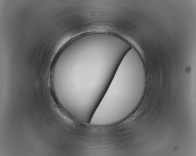 X0000093261083200709261613