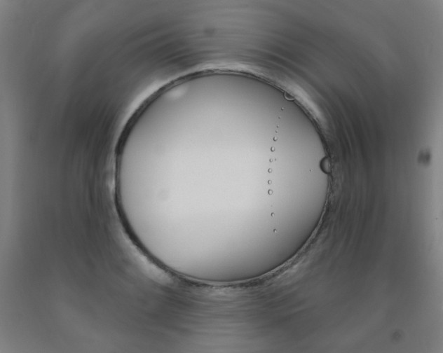 X0000093261084200709261613
