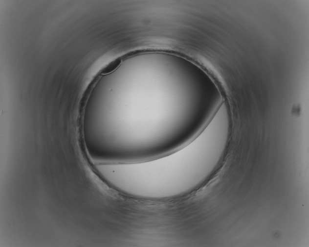 X0000093261085200709261613