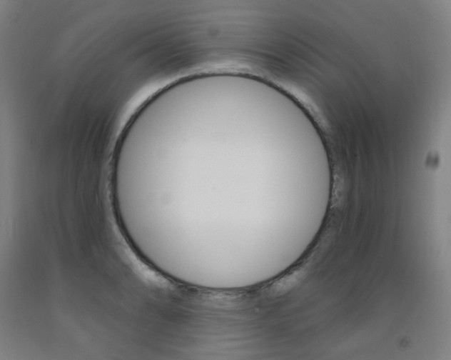 X0000093261086200709261613
