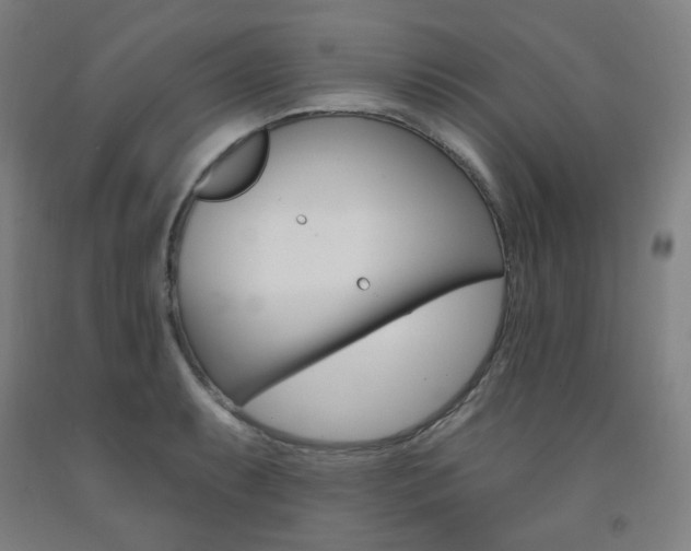 X0000093261087200709261613