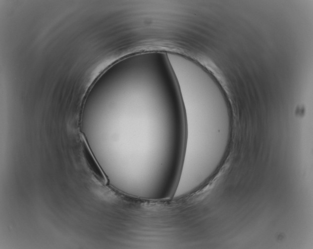 X0000093261089200709261613