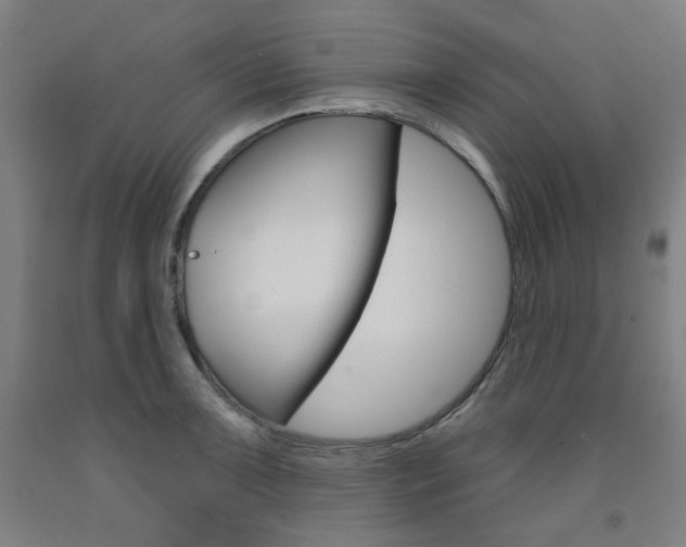 X0000093261091200709261613