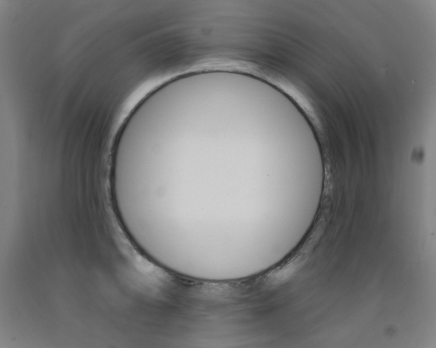 X0000093261094200709261613