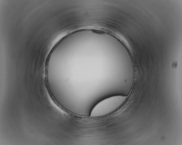 X0000093261095200709261613