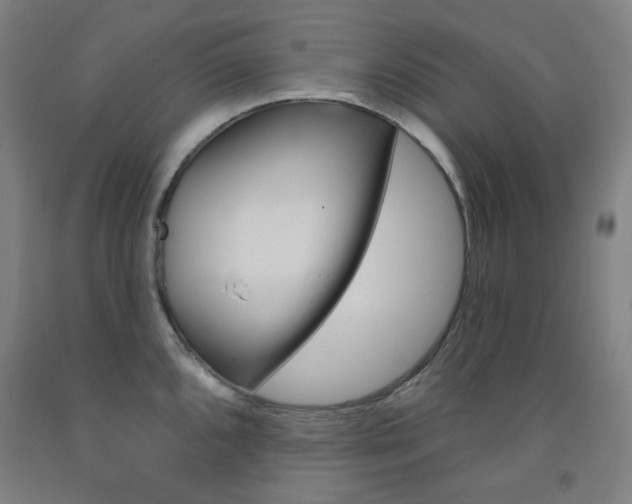 X0000093261096200709261613