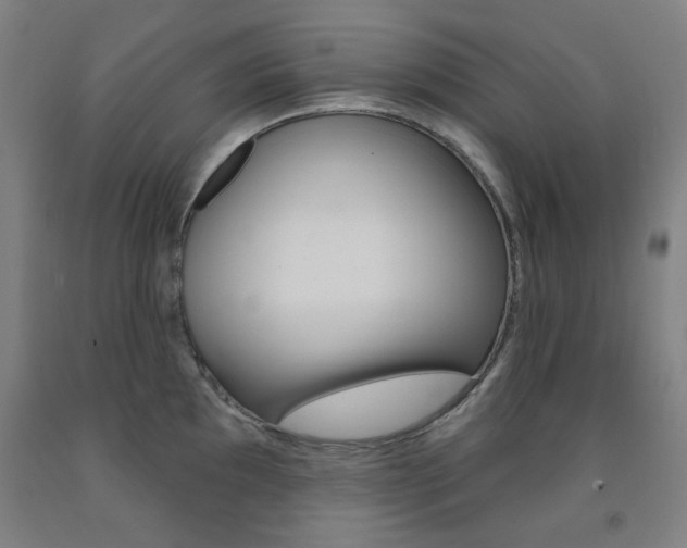 X0000093261097200709261613