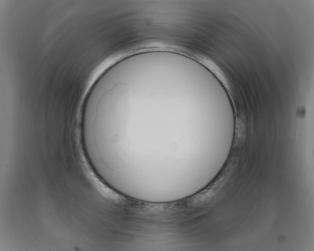 X0000093261098200709261613