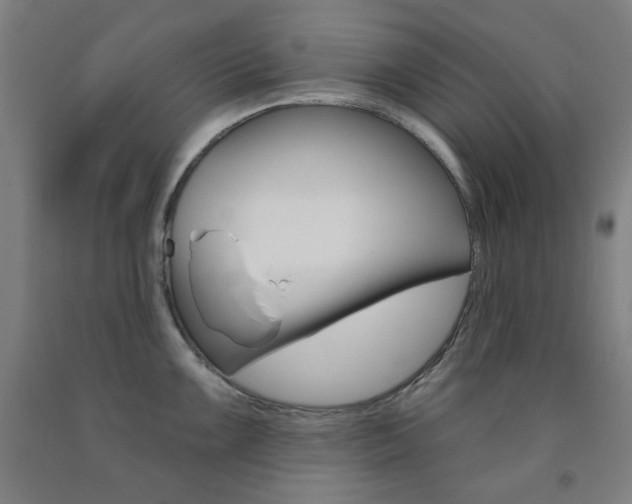 X0000093261099200709261613