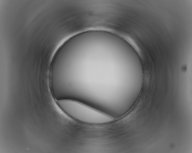 X0000093261100200709261613